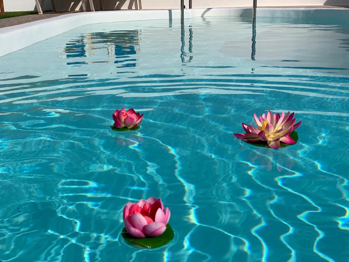Pico Partido Villa Heated Pool Tinguaton ภายนอก รูปภาพ